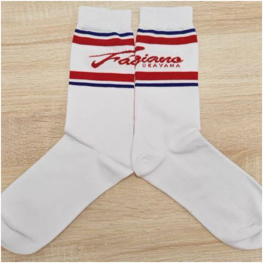 ジャガードソックス