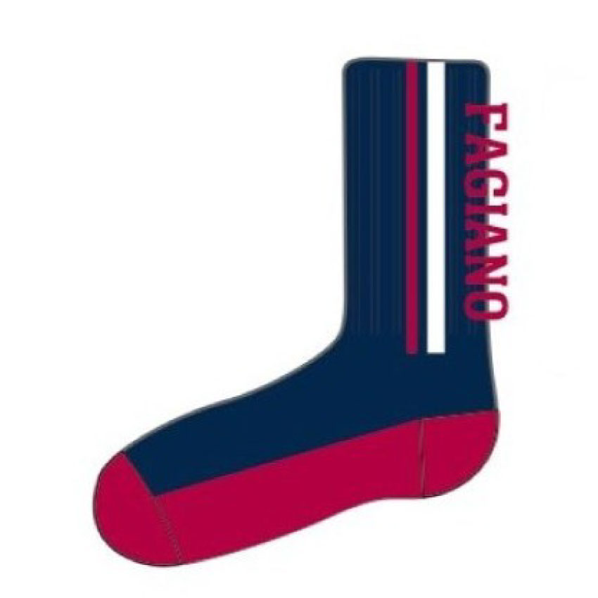 ロゴソックス（ファジネイビー）