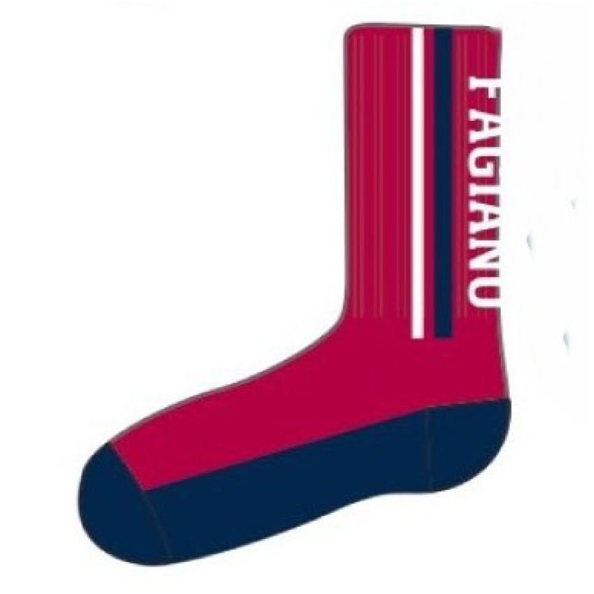 ロゴソックス（ファジレッド）