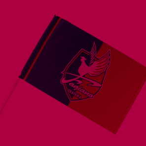 スタジアムグッズ